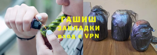 прущие грибы Апатиты