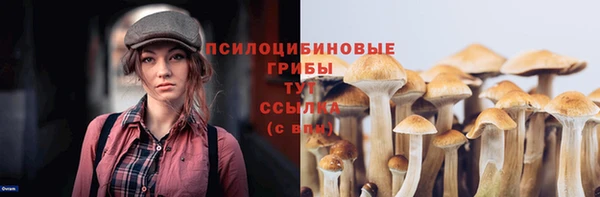 сатива Надым