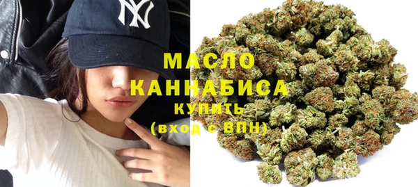 сатива Надым