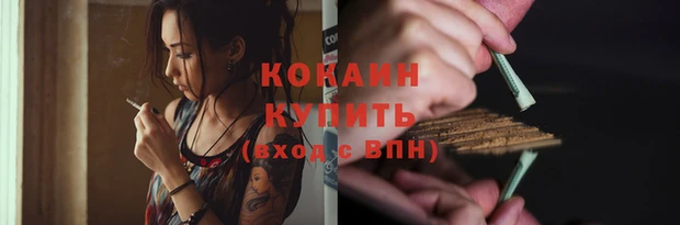 шишки Наволоки