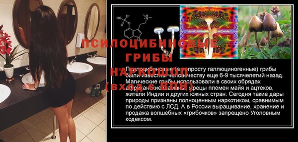 сатива Надым
