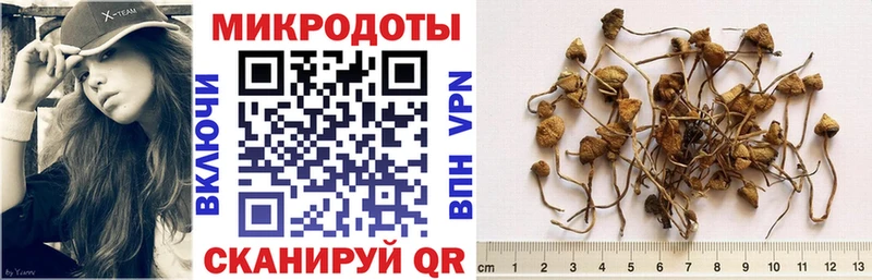 МЕГА ссылка  цены наркотик  Тотьма  Галлюциногенные грибы ЛСД 